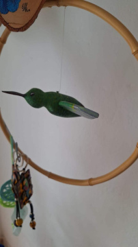 Colibrí